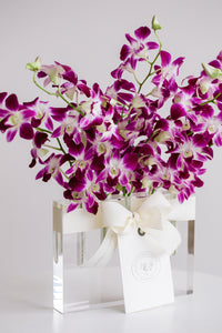 Italia - Orquídea sonia en acrílico.