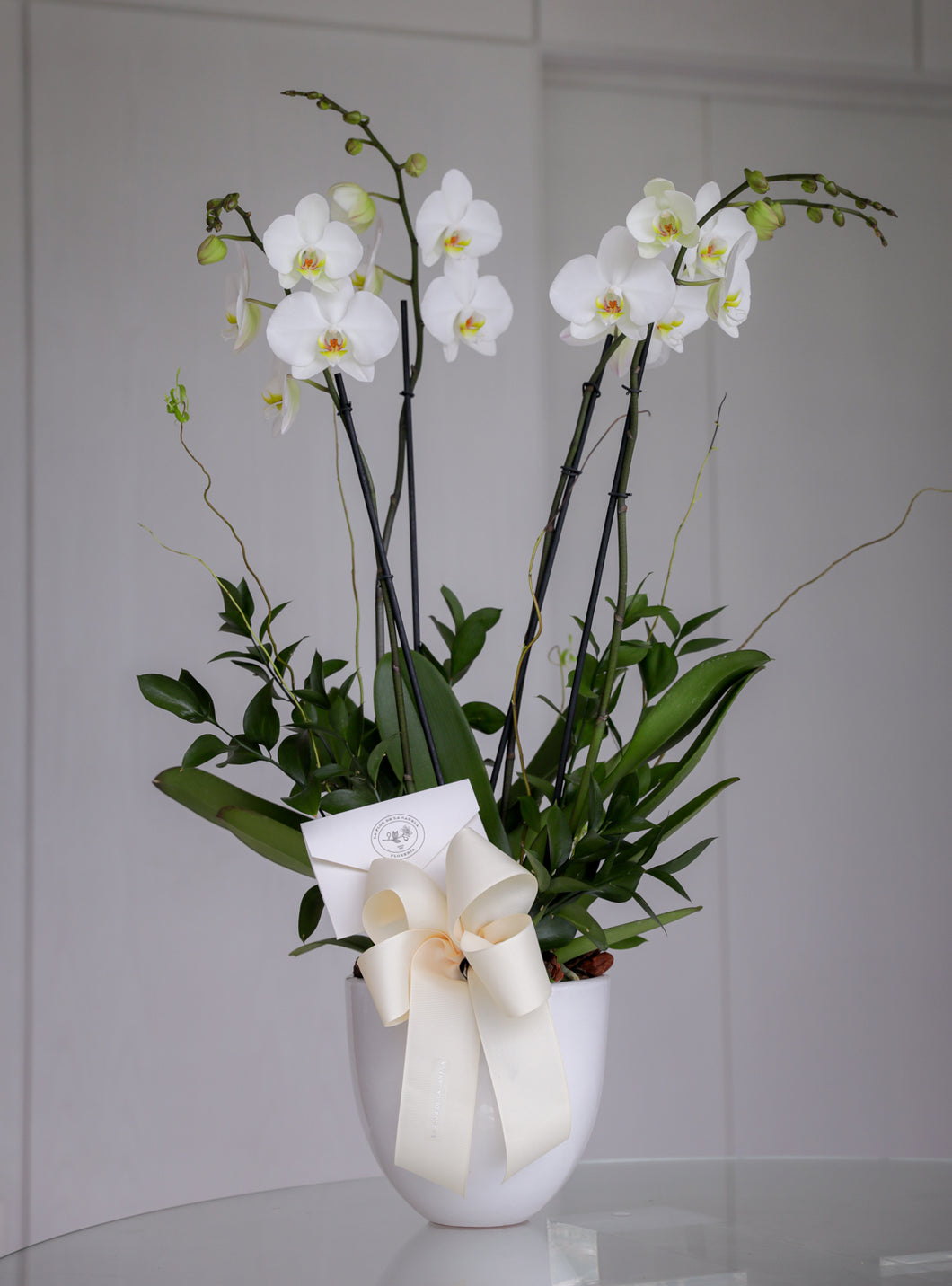 2 plantas de orquídea color blanca en base cerámica