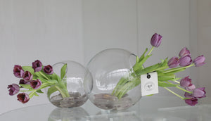 1 Esfera transparente con 10 tulipanes