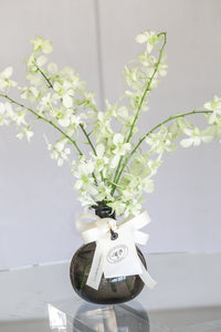 Licorera Humo con Orquideas Dendrobium
